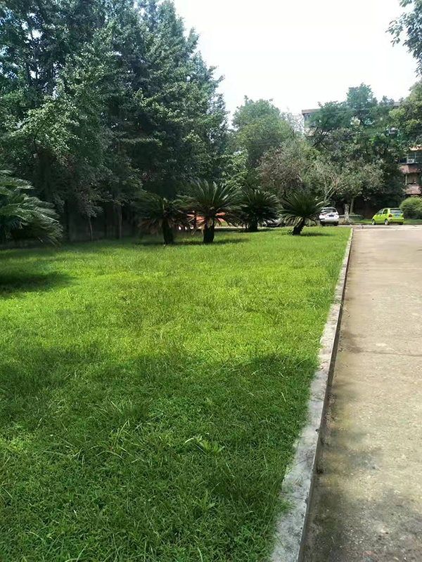 百博游戏平台